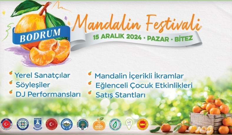 mandalina-festivali.jpg