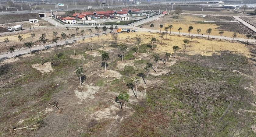 sakarya-metrobus-hatti-agaclar-yeni-yer