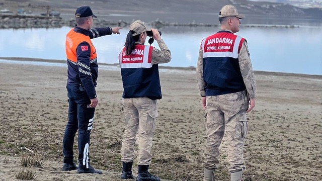 Bitlis'te Jandarma Ekipleri 'İnci Kefali' Denetiminde