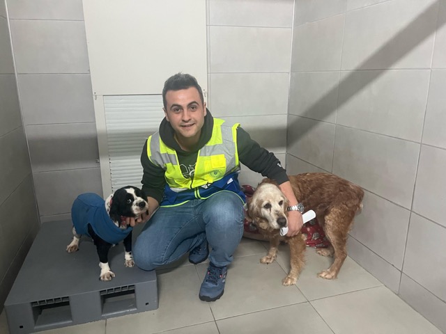 Büyükşehir, her zaman can dostların yanında