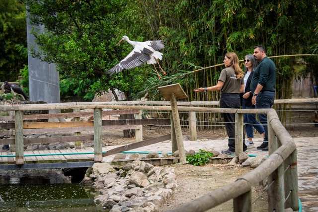 İzmir Doğal Yaşam Parkı’nda bebek heyecanı