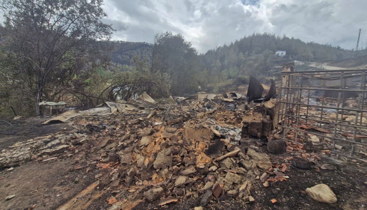 Taraklı'dan Bilecik'e Sıçrayan Yangın 3 Köyde Büyük Hasara Yol Açtı