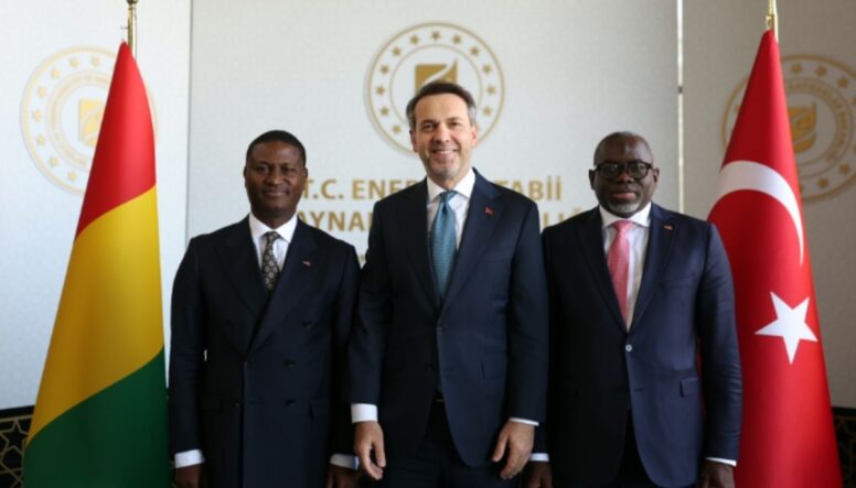 Türkiye-Gine görüşmesinde elektrik ve maden yatırımları gündemde